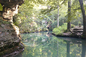 Bell Smith Springs